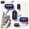 Picture of Kiehl's Midnight Recovery Concentrate Face Oil