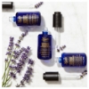 Picture of Kiehl's Midnight Recovery Concentrate Face Oil