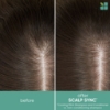 Picture of Biolage ScalpSync Conditioner 400ml
