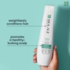 Picture of Biolage ScalpSync Conditioner 400ml