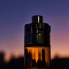 Picture of Wanted By Night EDP 100ml