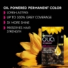Picture of Garnier Olia 4.15 Iced Chocolate Permanent Hair Colour No Ammonia, 60% Oils