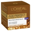 Picture of L'Oréal Paris Age Perfect Intense Nutrition Rich Repairing Night Cream
