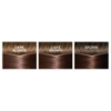 Picture of L'Oréal Paris Casting Crème Gloss Semi-Permanent Hair Colour - 515 Chocolate Chestnut (Ammonia Free)