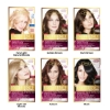 Picture of L'Oréal Paris Excellence Age Perfect Permanent Hair Colour - 8.31 Pure Beige Blonde (Natural Blended Colour)