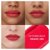 Picture of LIP POWER MATTE 308