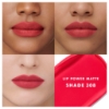 Picture of LIP POWER MATTE 308