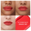 Picture of LIP POWER MATTE 307