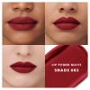 Picture of LIP POWER MATTE 603