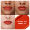 Picture of LIP POWER MATTE 405