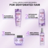 Picture of L'Oréal Paris Elvive Hyaluron Plump 72H Moisture Filling Shampoo 300ml