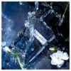 Picture of Y Eau De Toilette 100ML