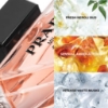 Picture of Prada Paradoxe Eau De Parfum 100ml Refill