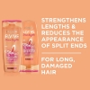 Picture of Elvive Dream Lengths Restoring Shampoo 300mL