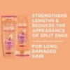 Picture of Elvive Dream Lengths Restoring Shampoo 300mL
