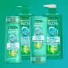 Picture of Garnier Fructis Coconut Water Conditioner 315ml for Oily Roots, Dry Ends