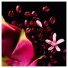 Picture of Black Opium Neon Eau De Parfum 75Ml