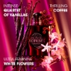 Picture of Black Opium Le Parfum 30ml