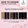 Picture of L'Oréal Paris Excellence Crème Permanent Hair Colour - 2 Black Brown