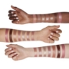 Picture of L'Oréal Paris Infallible 2-Step Lip Colour 312 Incessant Russet