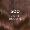 Picture of L'Oréal Paris Casting Crème Gloss Semi-Permanent  Hair Colour - 500 Medium Brown (Ammonia Free)