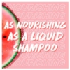 Picture of Garnier Fructis Watermelon Hair Food 2in1 Shampoo Bar 60g