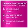 Picture of L'Oréal Paris Excellence Creme Hair Colour, 3 Darkest Brown