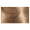 Picture of L'Oréal Paris Excellence Creme Hair Colour, 8.1 Ash Blonde