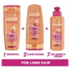 Picture of Elvive Dream Lengths Restoring Shampoo 300mL