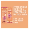 Picture of Elvive Dream Lengths Detangling Conditioner 300mL