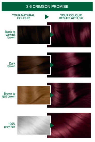 Picture of Garnier Nutrisse Permanent Hair Colour - 3.6 Crimson Promise
