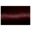 Picture of Garnier Nutrisse Permanent Hair Colour - 3.6 Crimson Promise