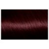 Picture of Garnier Nutrisse Permanent Hair Colour - 3.6 Crimson Promise