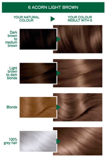 Picture of Garnier Nutrisse Permanent Hair Colour - 6 Acorn