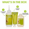 Picture of Garnier Nutrisse Permanent Hair Colour - 6 Acorn