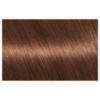 Picture of Garnier Nutrisse Permanent Hair Colour - 6 Acorn