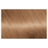 Picture of Garnier Nutrisse Permanent Hair Colour - 7.0 Almond Crème
