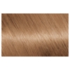 Picture of Garnier Nutrisse Permanent Hair Colour - 7.0 Almond Crème