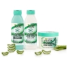 Picture of Fructis Hair Food Aloe Vera Shampoo 350ml