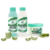 Picture of Fructis Hair Food Aloe Vera Shampoo 350ml