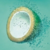 Picture of Garnier Fructis Coconut Water Conditioner 315ml for Oily Roots, Dry Ends