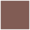 Picture of Eye Tint 10