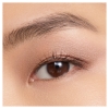 Picture of Eye Tint 10