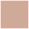 Picture of Eye Tint 11