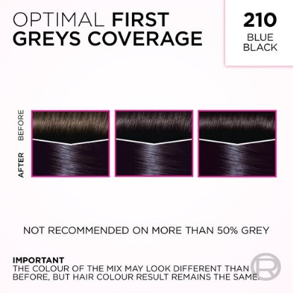 Picture of L'Oréal Paris Casting Crème Gloss Semi-Permanent Hair Colour - 210 Blue Black (Ammonia Free)
