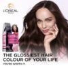 Picture of L'Oréal Paris Casting Crème Gloss Semi-Permanent Hair Colour - 210 Blue Black (Ammonia Free)