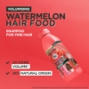 Picture of Fructis Hair Food Watermelon Shampoo For Fine Hair 350ml