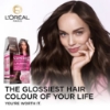 Picture of L'Oréal Paris Casting Crème Gloss Semi-Permanent Hair Colour - 400 Brown (Ammonia Free)