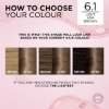 Picture of L'Oréal Paris Excellence Crème Permanent Hair Colour - 6.1 Light Ash Brown