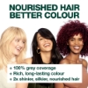 Picture of Garnier Nutrisse Permanent Hair Colour - 3.23 Dark Quartz Brown